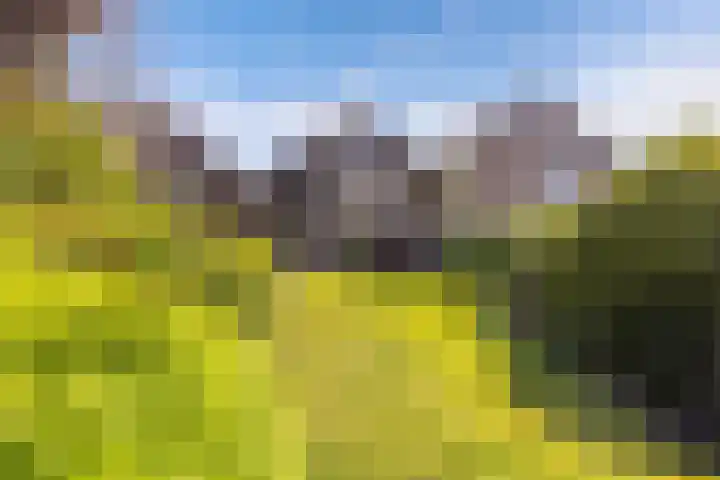 Geelgors 9 Blaricum thumbnail 14