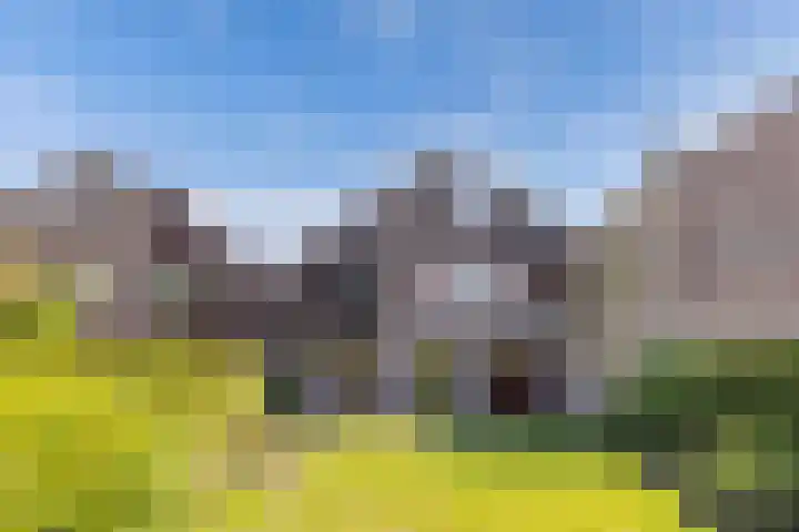 Geelgors 9 Blaricum thumbnail 16