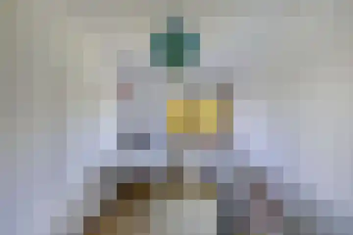 Geelgors 9 Blaricum thumbnail 25