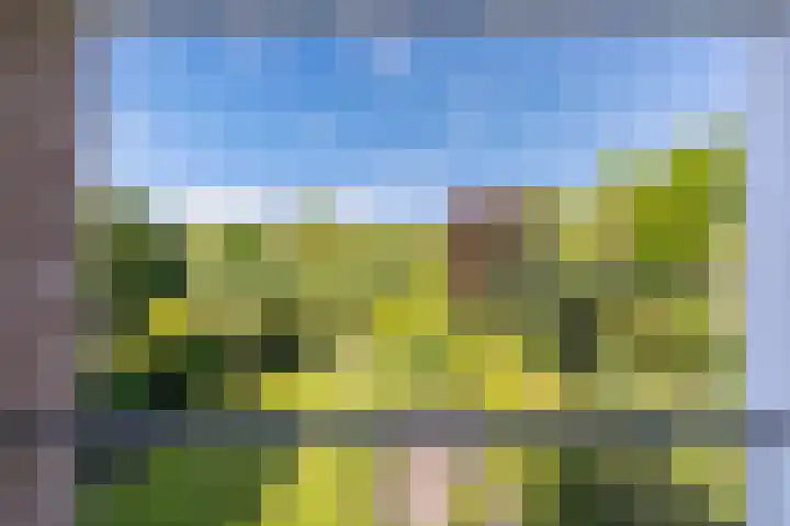 Geelgors 9 Blaricum thumbnail 31