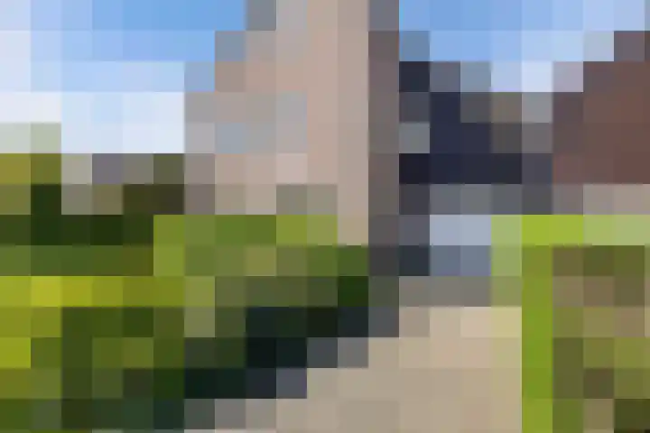Geelgors 9 Blaricum thumbnail 41