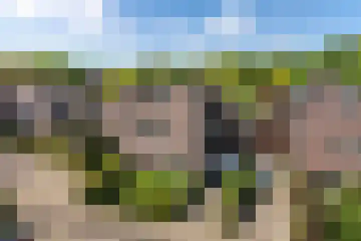 Geelgors 9 Blaricum thumbnail 42
