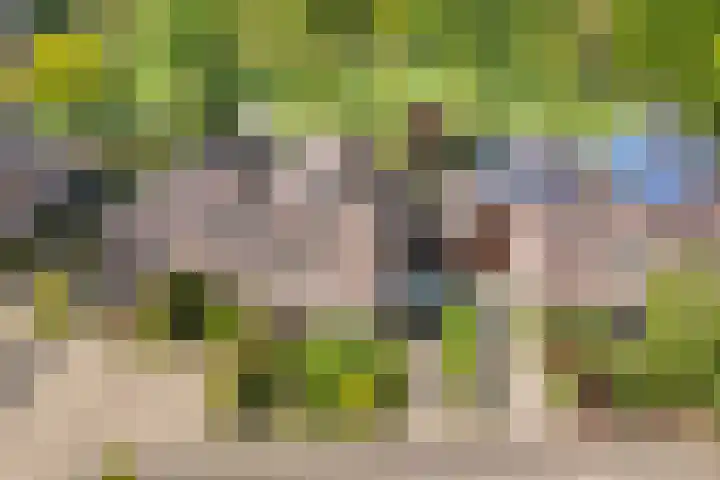 Geelgors 9 Blaricum thumbnail 43