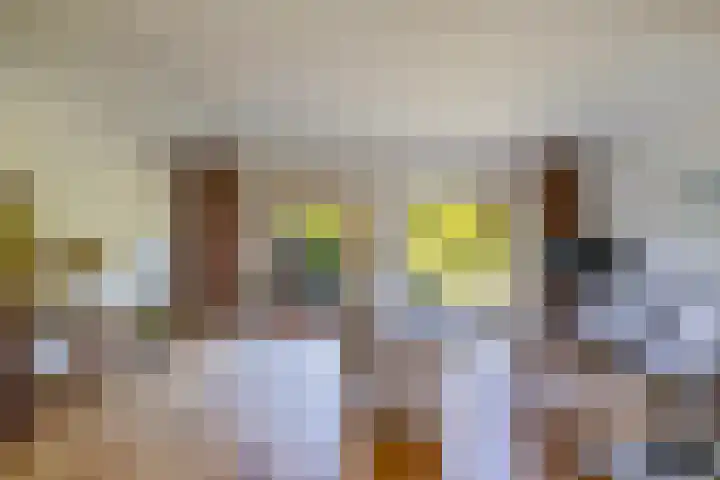 Geelgors 9 Blaricum thumbnail 7