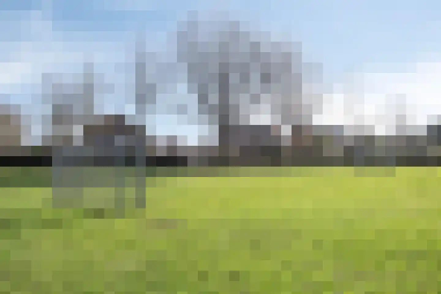 Geelgorshof 11 Weert thumbnail 46