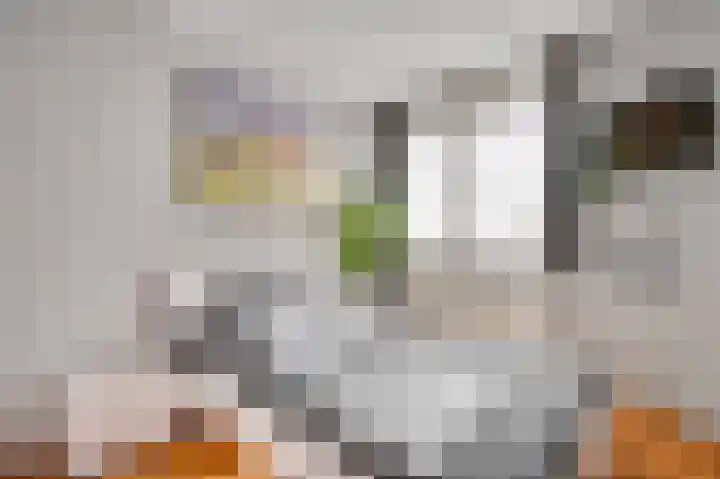 Geelgorshof 17 Weert thumbnail 21