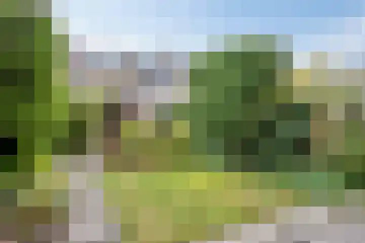 Geelgorshof 7 Nuenen thumbnail 16