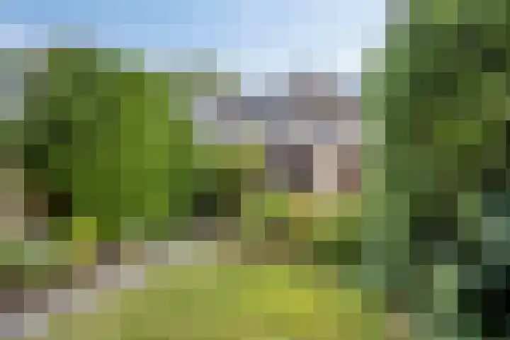 Geelgorshof 7 Nuenen thumbnail 17