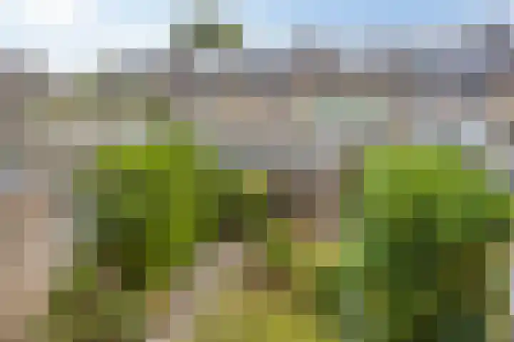 Geelgorshof 7 Nuenen thumbnail 18