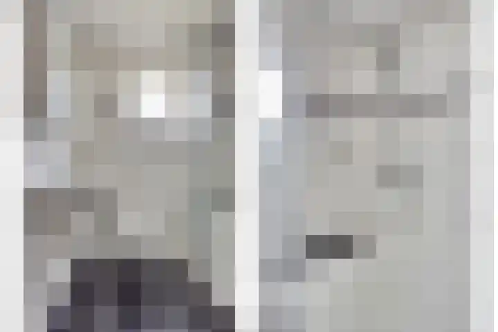 Geelgorshof 7 Nuenen thumbnail 23