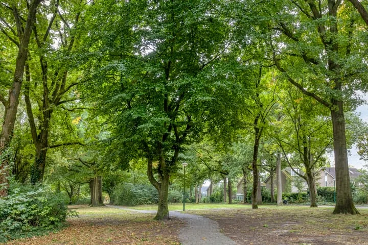 Geelgorshof 7 Nuenen thumbnail 34