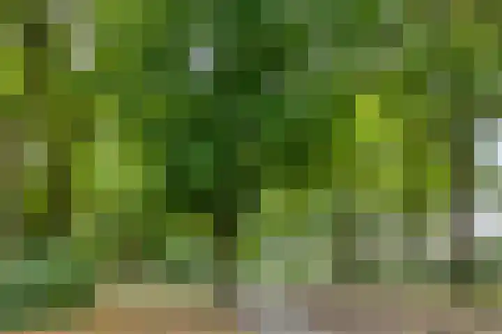 Geelgorshof 7 Nuenen thumbnail 34