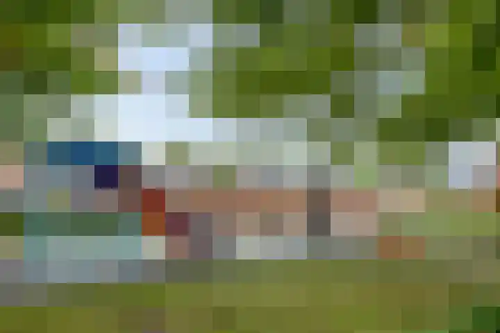 Geelgorshof 7 Nuenen thumbnail 35