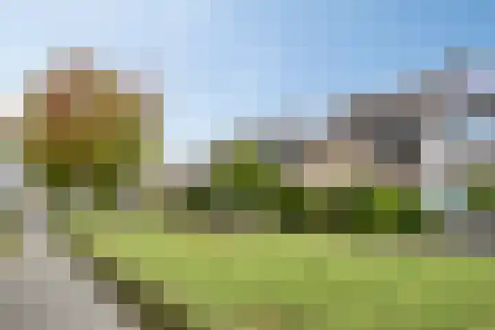 Geelgorshof 7 Nuenen thumbnail 4