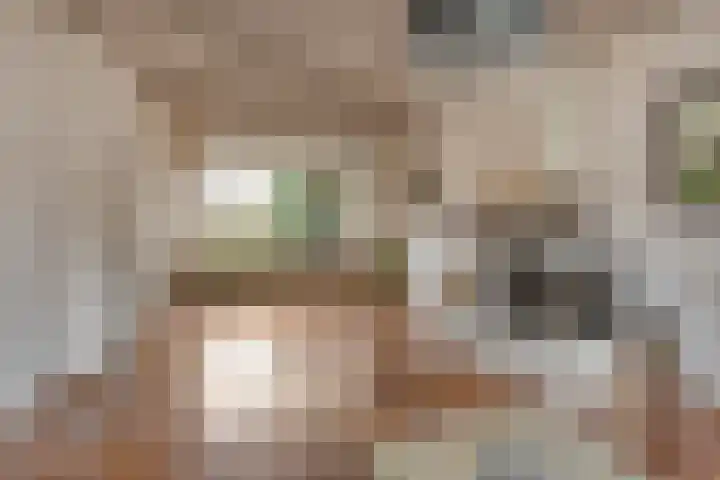 Geelgorshof 7 Nuenen thumbnail 6