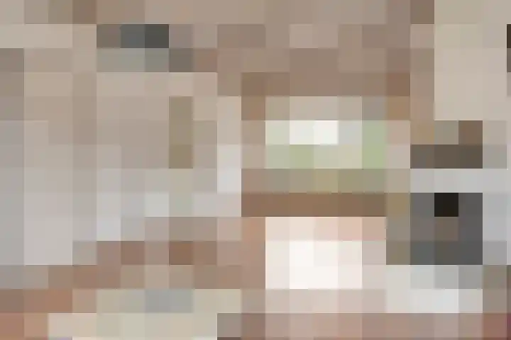 Geelgorshof 7 Nuenen thumbnail 7