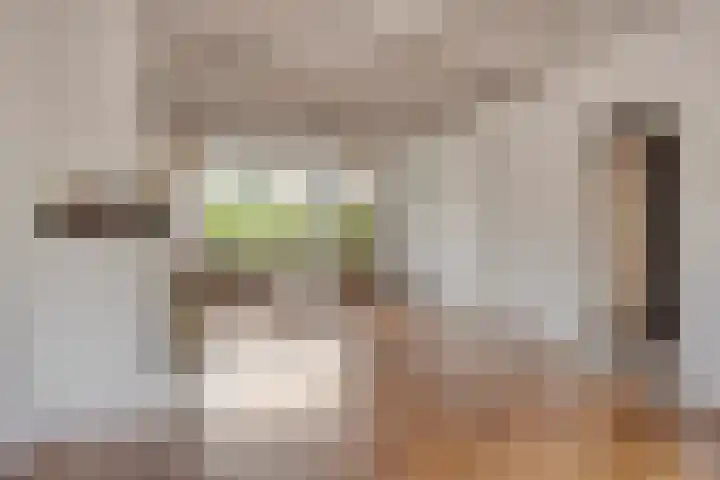 Geelgorshof 7 Nuenen thumbnail 8