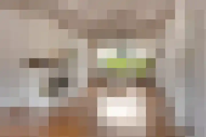 Geelgorshof 7 Nuenen thumbnail 9