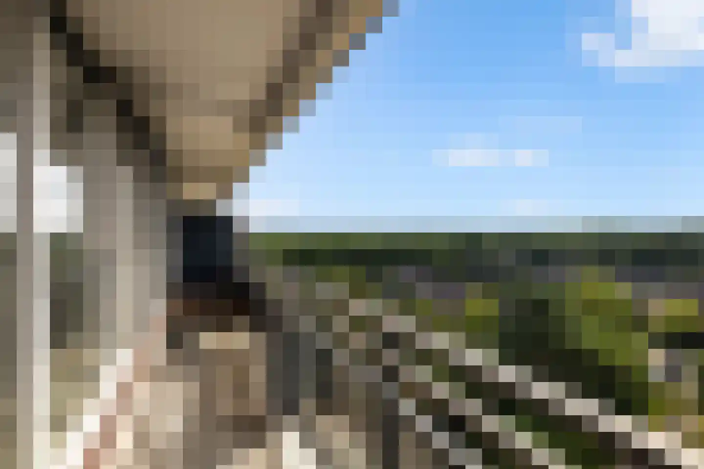 Geelgorslaan 120 Bilthoven thumbnail 15