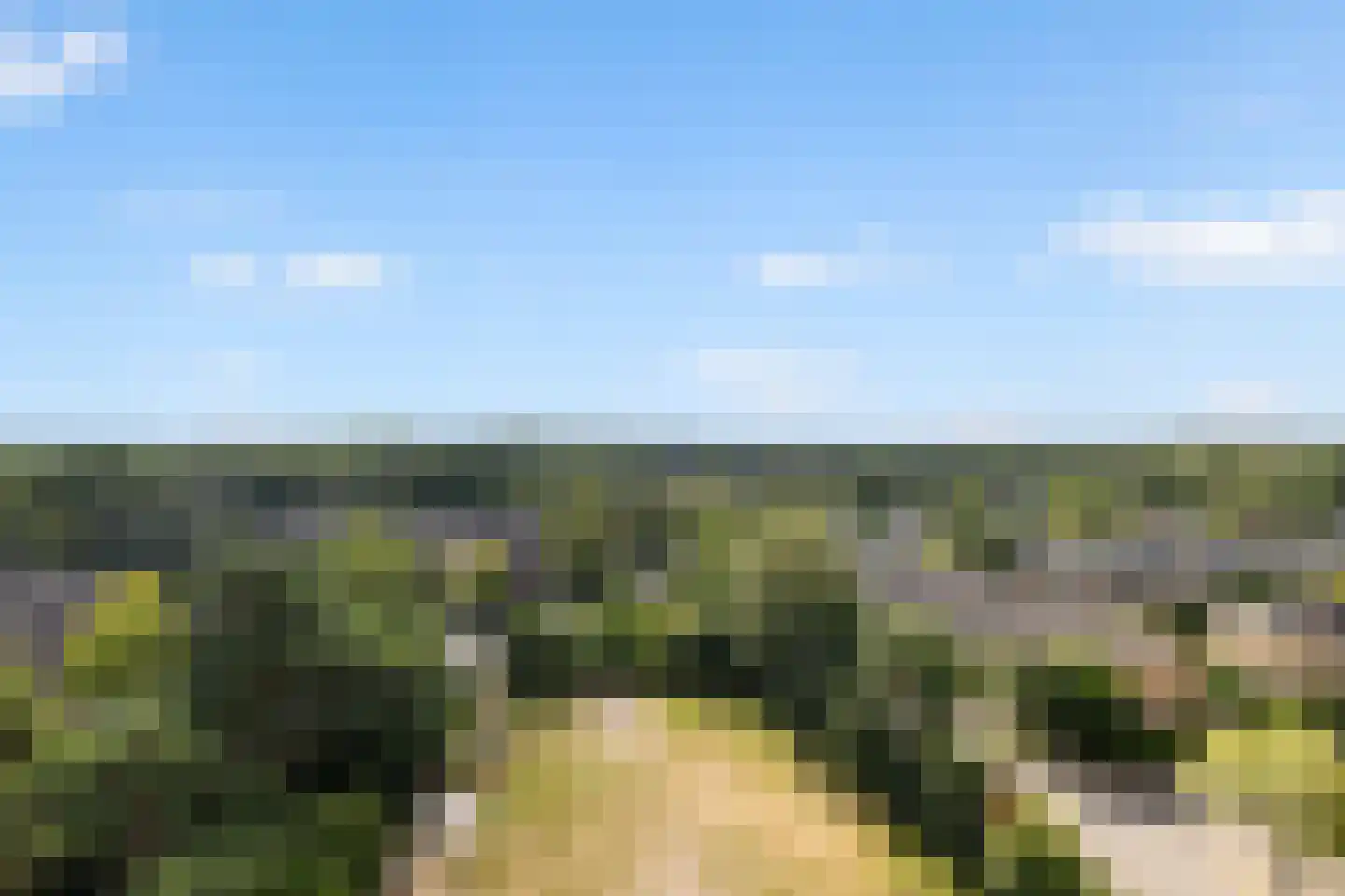 Geelgorslaan 120 Bilthoven thumbnail 16