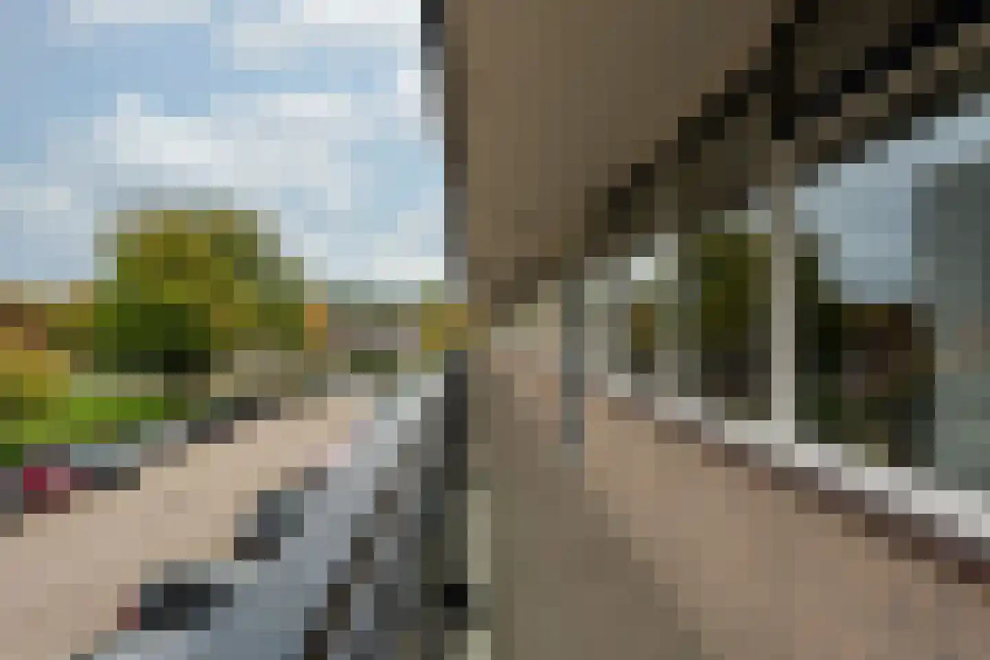 Geelgorslaan 26 Bilthoven thumbnail 31