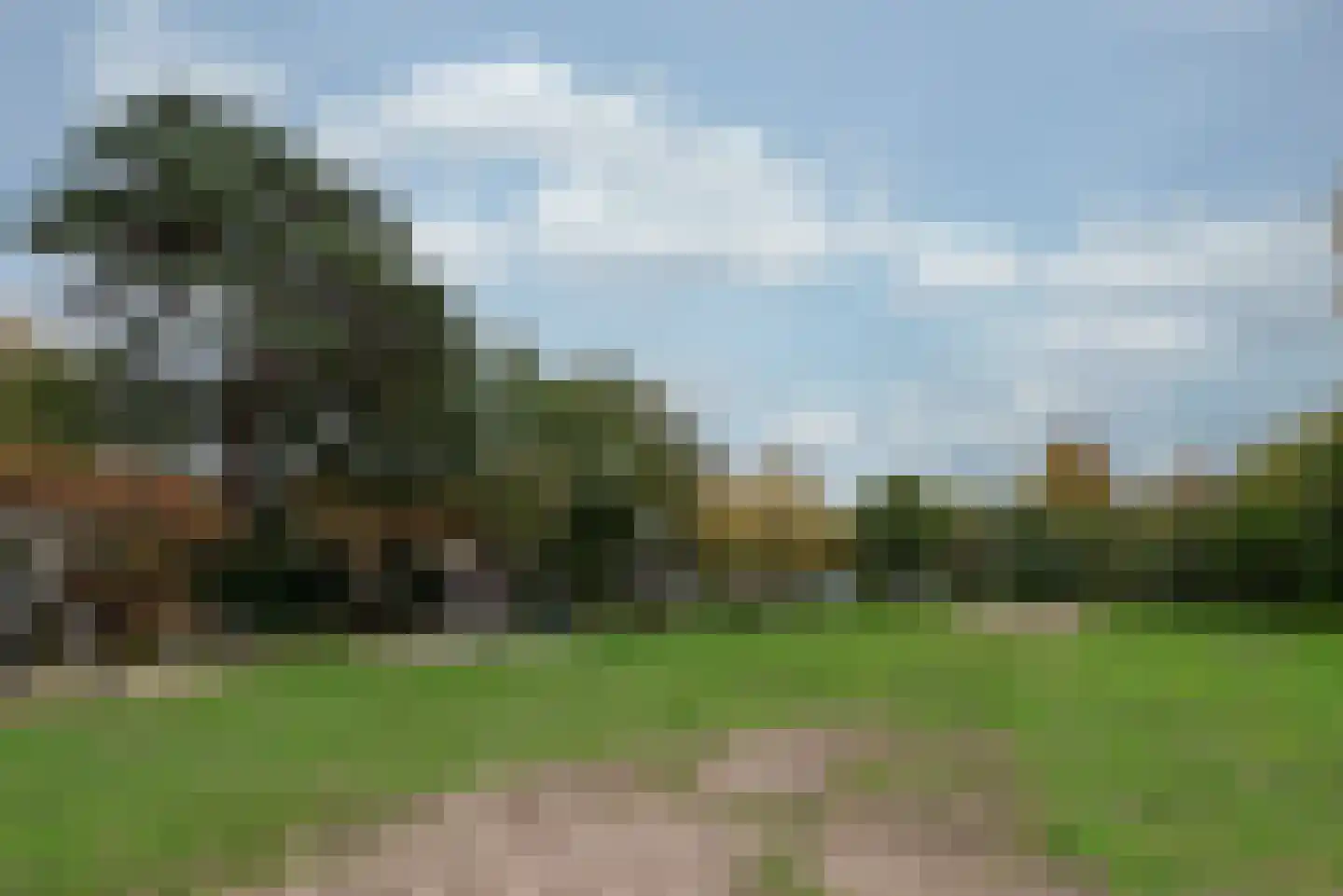 Geelgorslaan 26 Bilthoven thumbnail 34