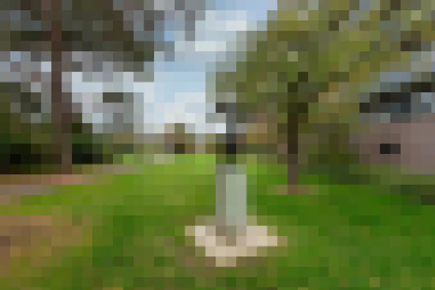 Geelgorslaan 26 Bilthoven thumbnail 36