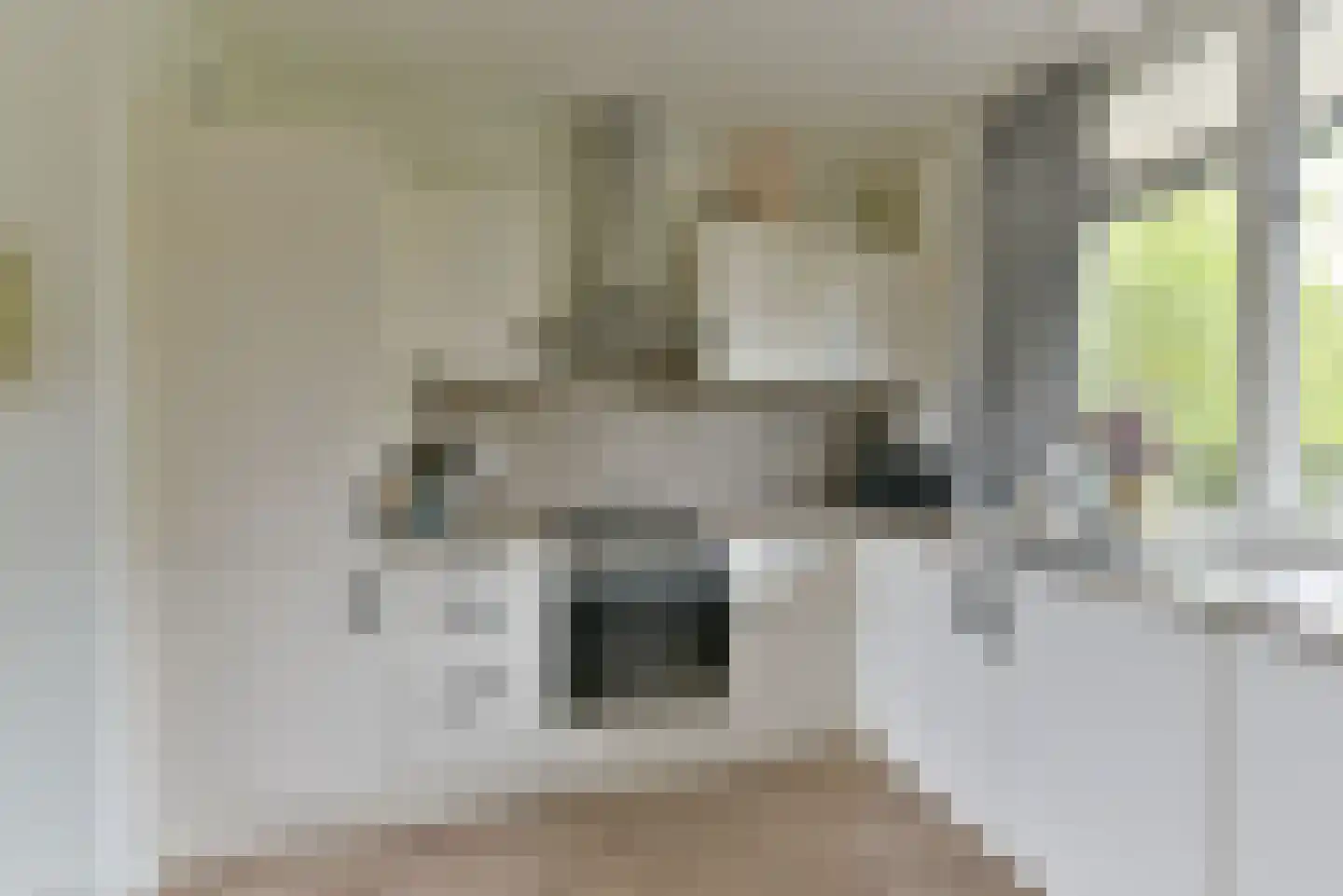 Geelgorslaan 26 Bilthoven thumbnail 6