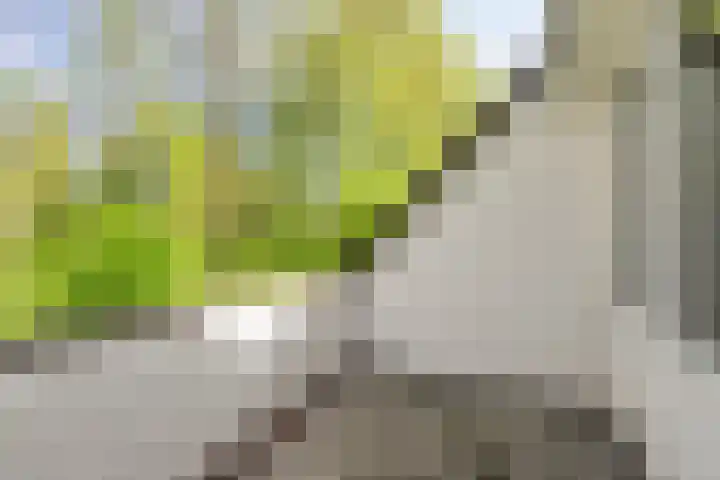 Geelgorslaan 3 Almere thumbnail 22