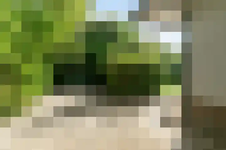 Geelgorslaan 3 Almere thumbnail 25