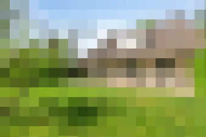 Geelgorslaan 3 Almere thumbnail 27