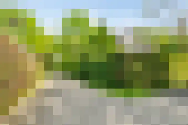 Geelgorslaan 3 Almere thumbnail 28