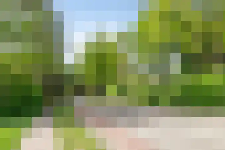 Geelgorslaan 3 Almere thumbnail 30