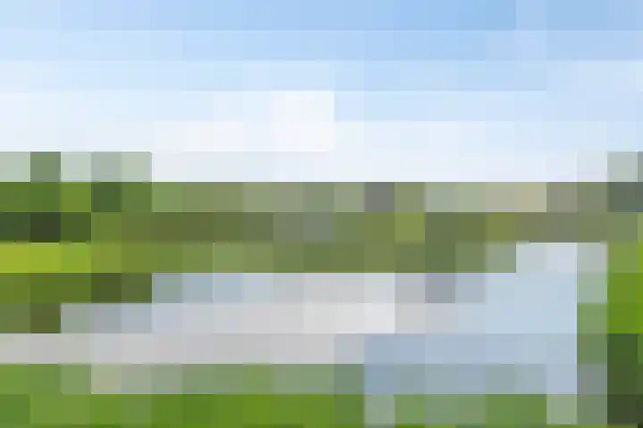 Geelgorslaan 3 Almere thumbnail 31