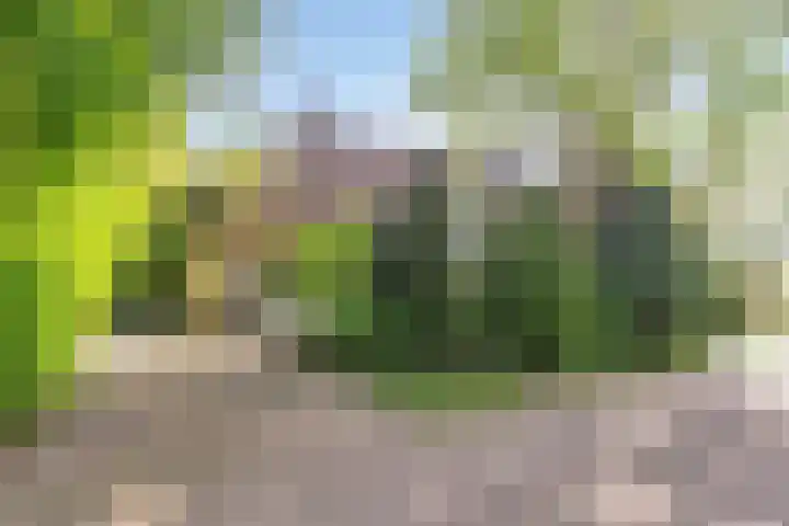 Geelgorslaan 3 Almere thumbnail 7