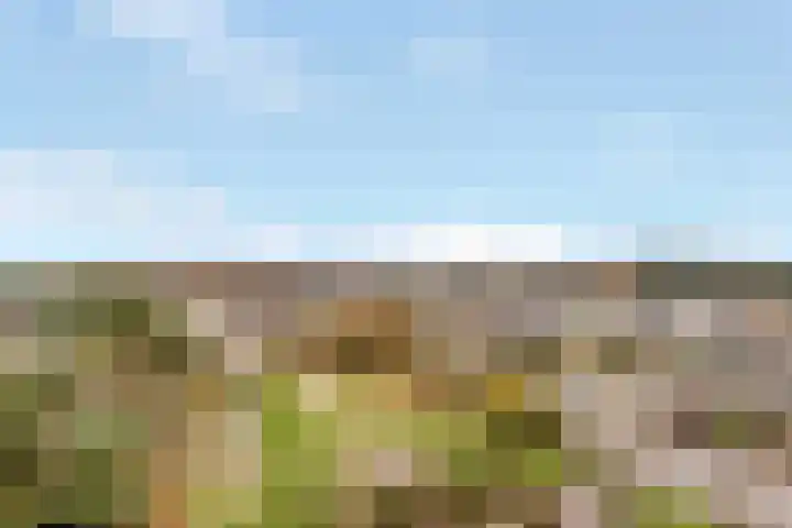 Geelgorslaan 88 Bilthoven thumbnail 17