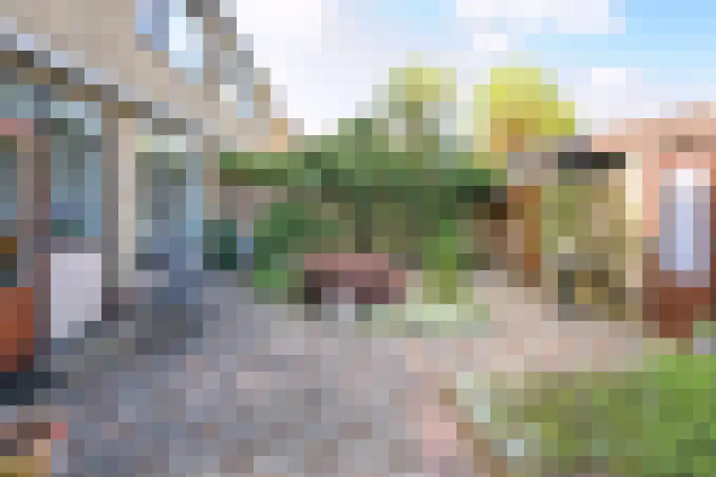 Geelgorsstraat 18 Brummen thumbnail 22