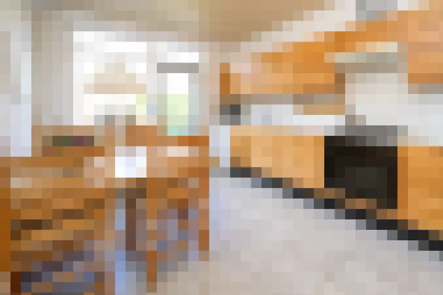 Geelgorsstraat 18 Brummen thumbnail 6