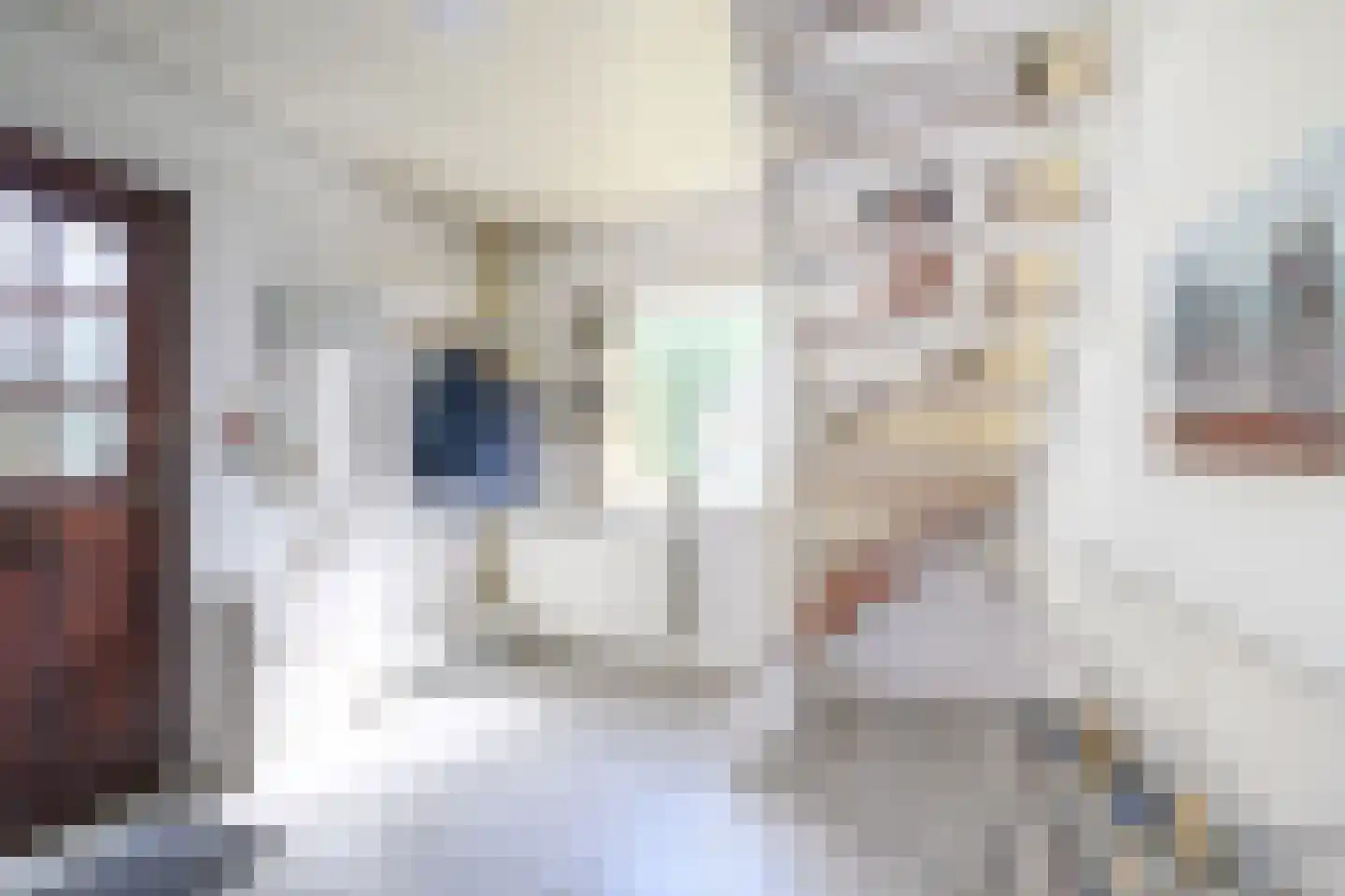 Geelgorsstraat 18 Brummen thumbnail 8