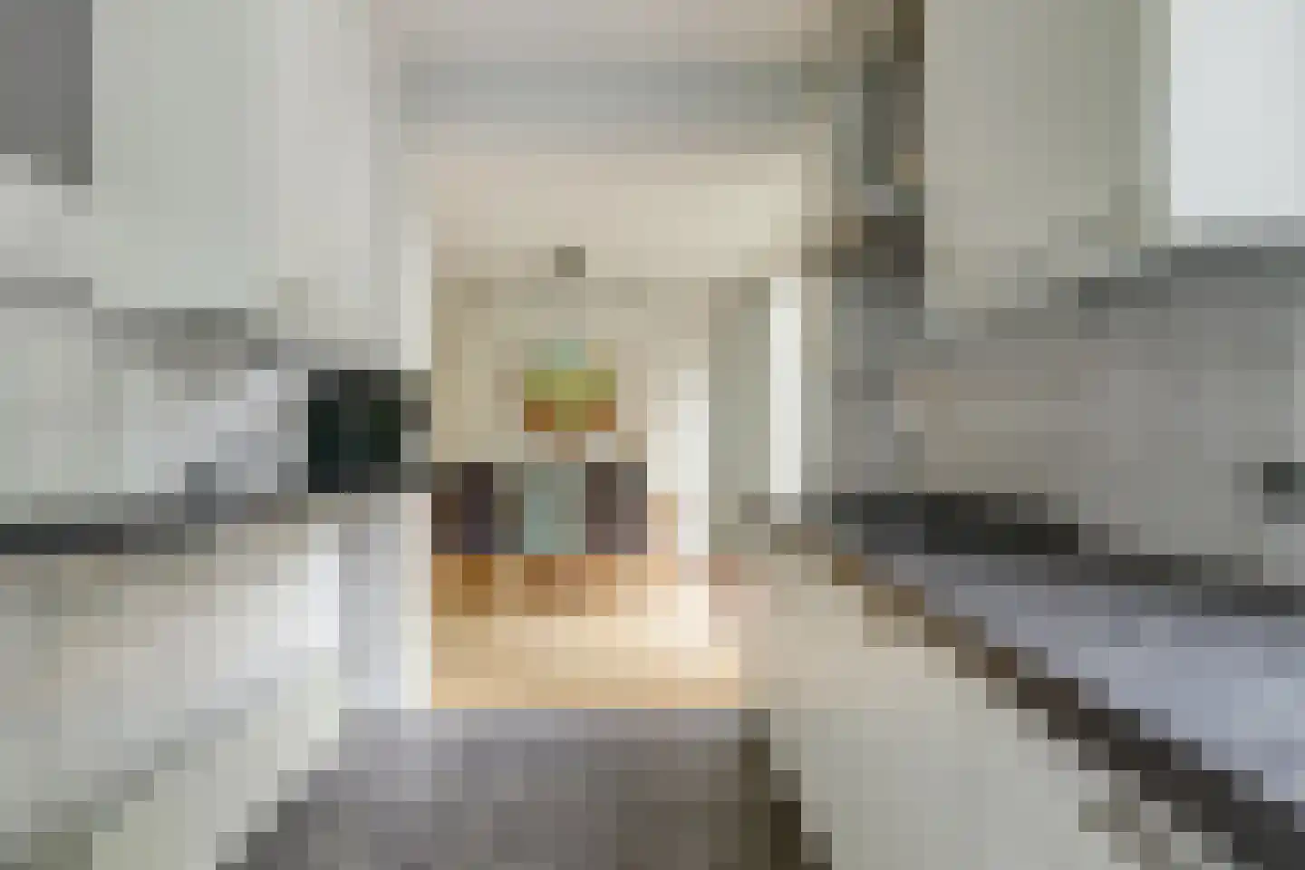 Geelgorsstraat 5 Ermelo thumbnail 10