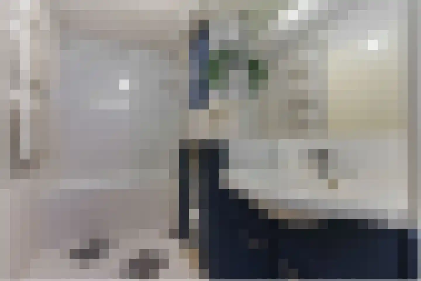 Geelgorsstraat 5 Ermelo thumbnail 31