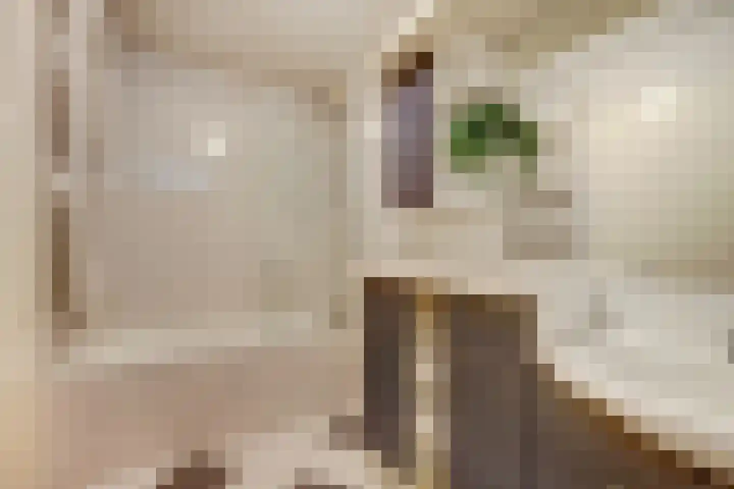 Geelgorsstraat 5 Ermelo thumbnail 32