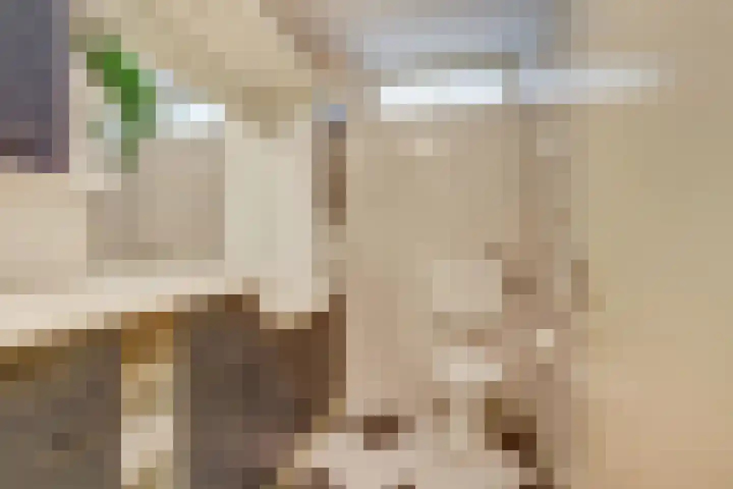 Geelgorsstraat 5 Ermelo thumbnail 33