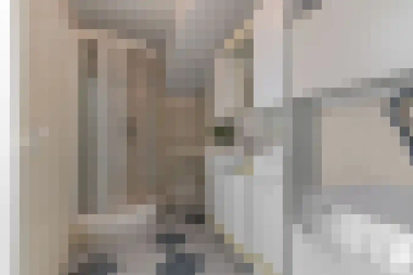 Geelgorsstraat 5 Ermelo thumbnail 41