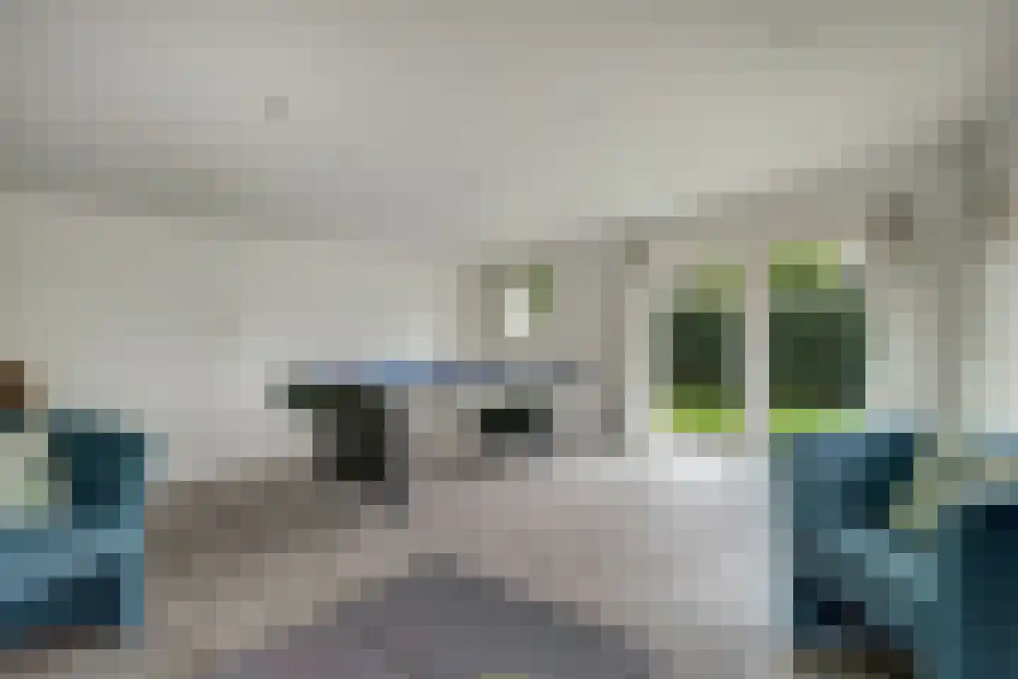 Geelgorsstraat 5 Ermelo thumbnail 46
