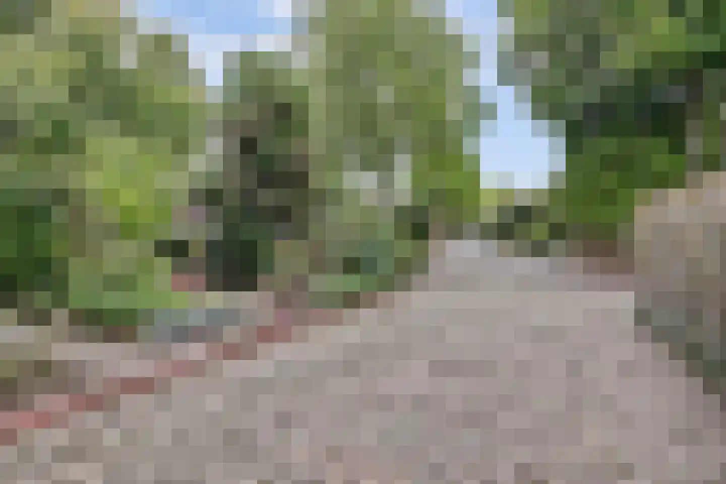 Geelgorsstraat 5 Ermelo thumbnail 58