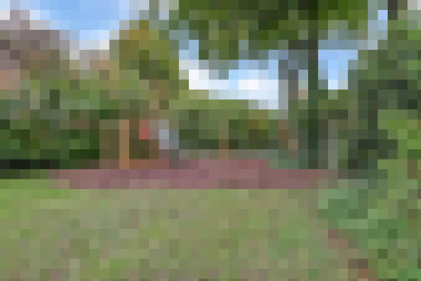 Geelgorsstraat 5 Ermelo thumbnail 59