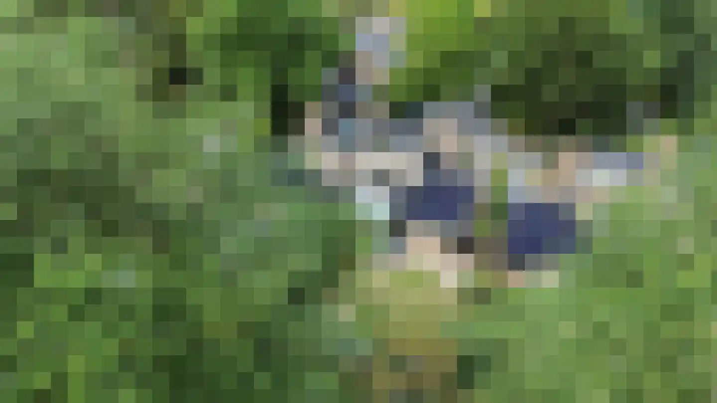 Geelgorsstraat 5 Ermelo thumbnail 64