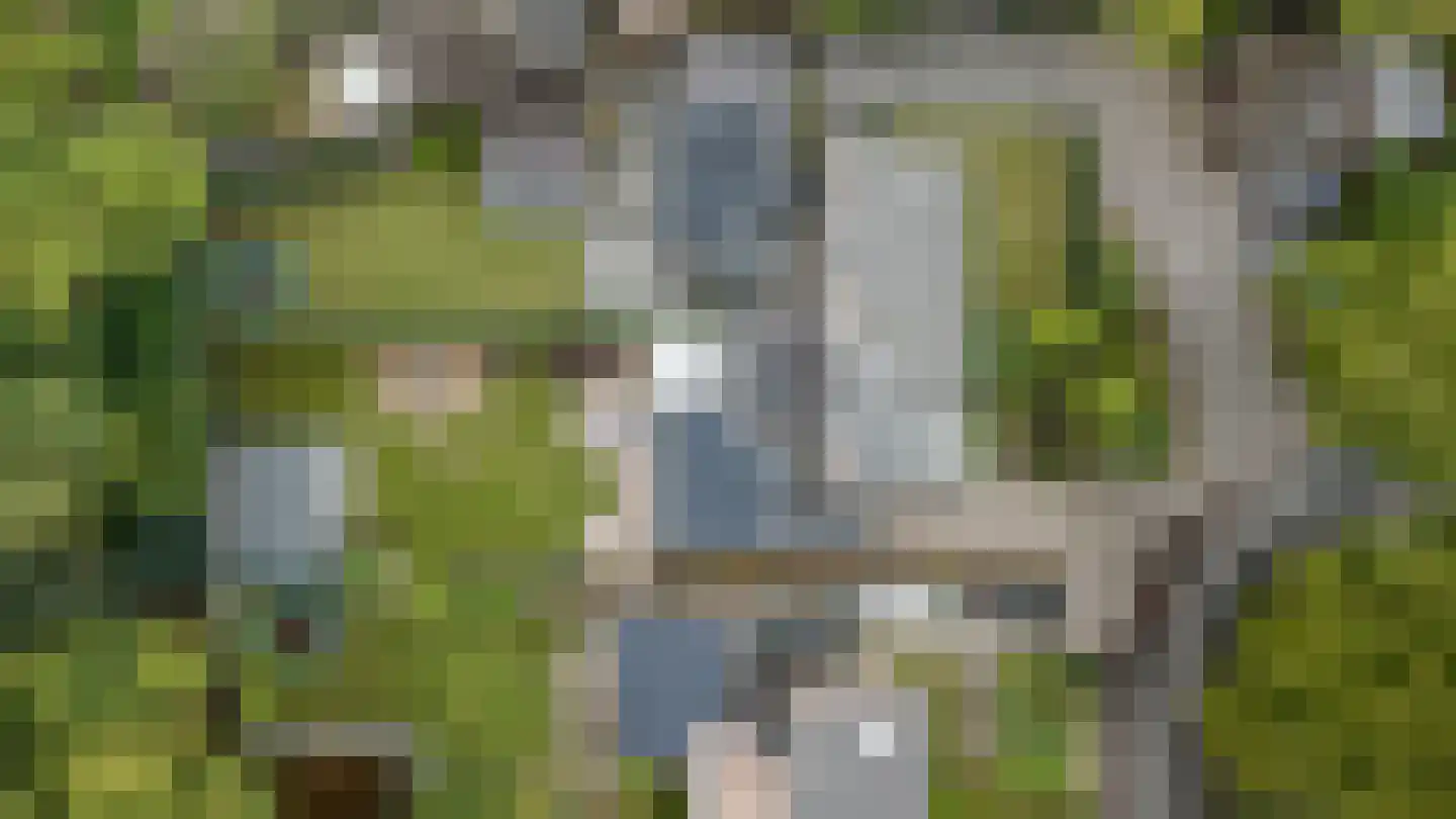 Geelgorsstraat 5 Ermelo thumbnail 64
