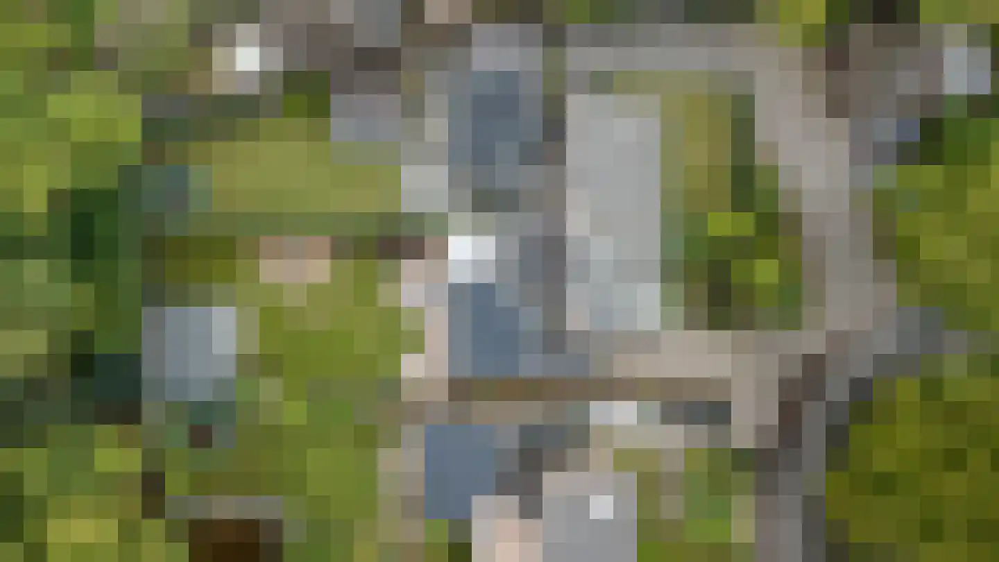 Geelgorsstraat 5 Ermelo thumbnail 65